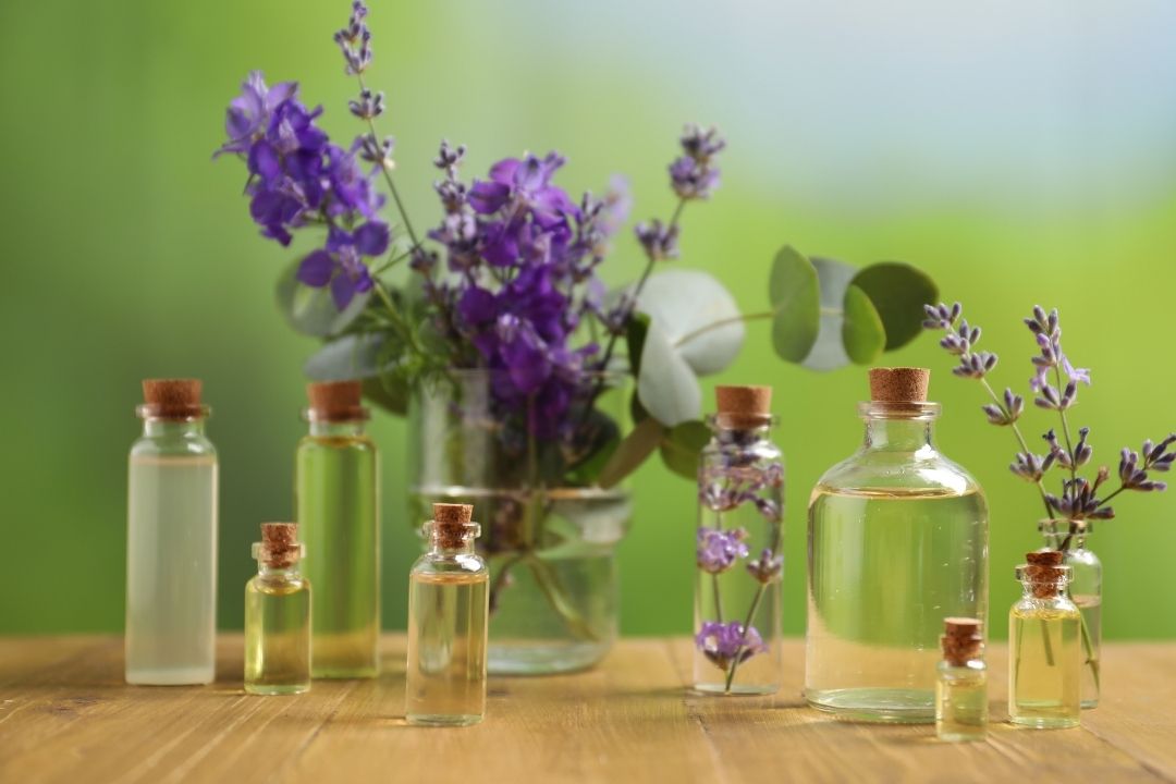 Terapia Floral de Bach na Numines