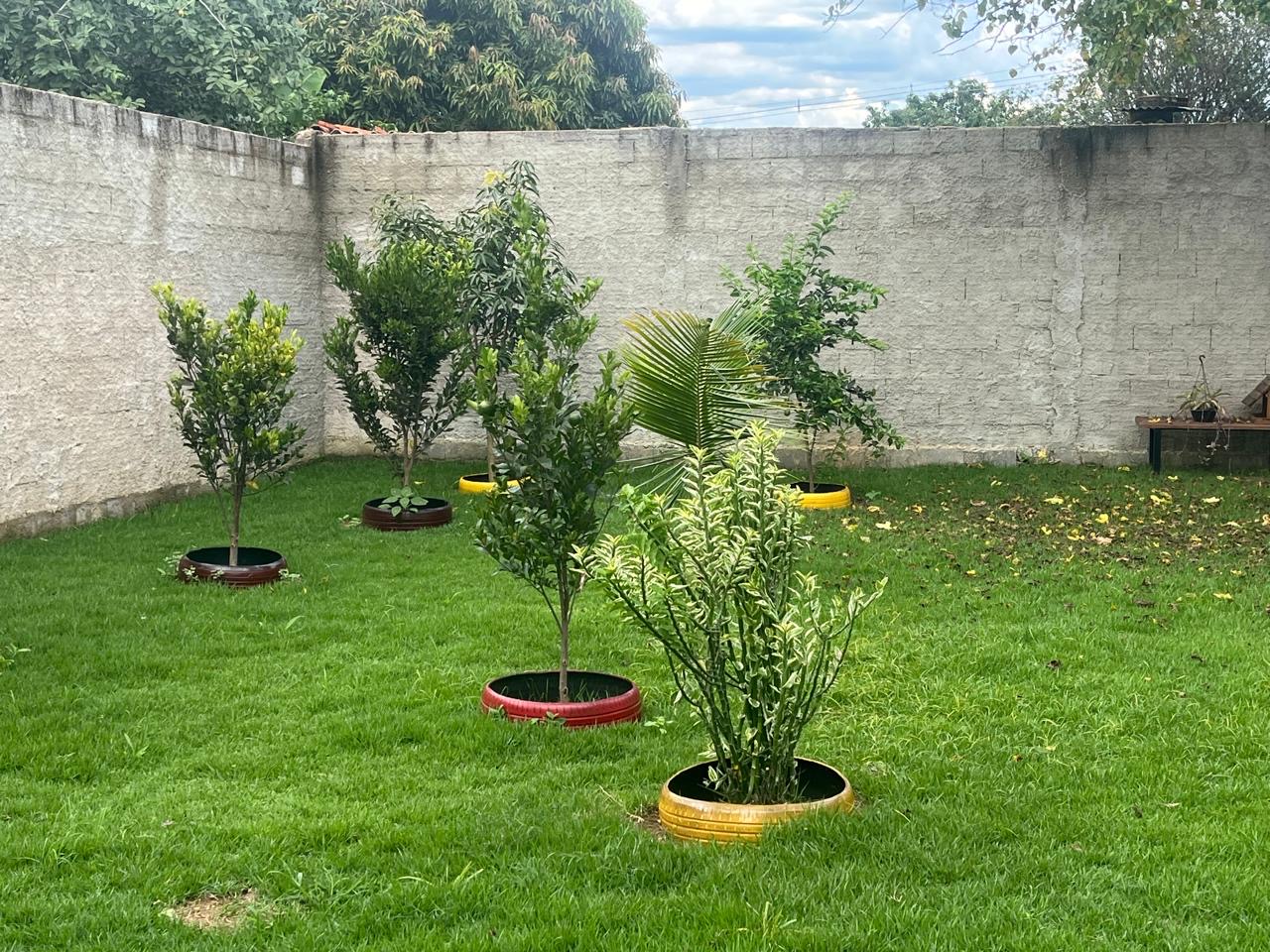 Jardim da Numines Clínica Integrativa